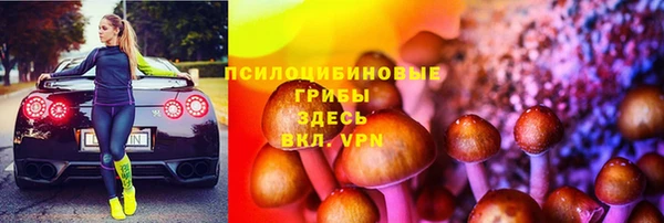 молекула духа Баксан