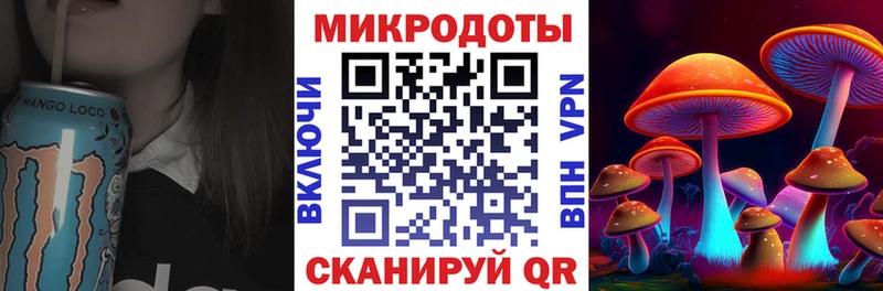 закладки  Вольск  Галлюциногенные грибы Psilocybe 